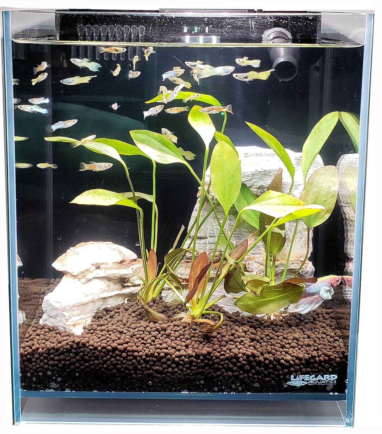 Lifegard Low Iron Ultra Clear Crystal Aquarium with Built in Filter ��������������������������� Rimless Glass, Beveled Edge, Elevated Style ��������������������������� Direct Jet Flow ��������������������������� 8.3 GPH