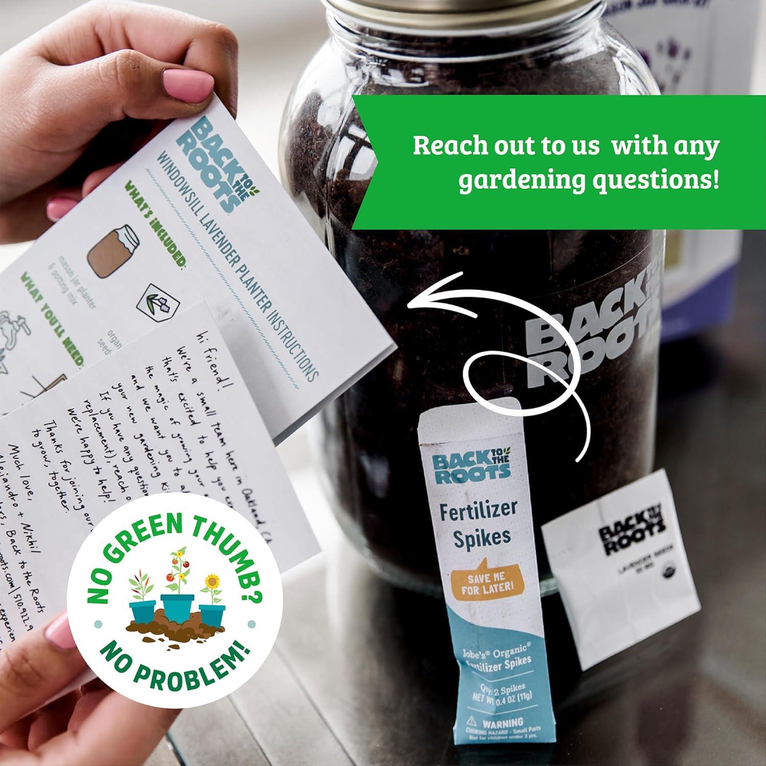 Back to the Roots Organic Lavender Grow Kit