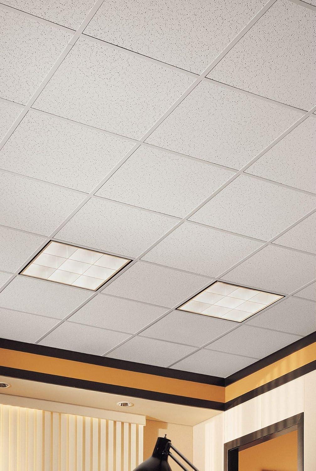 Cortega 2x2 White Acoustic Ceiling Tiles