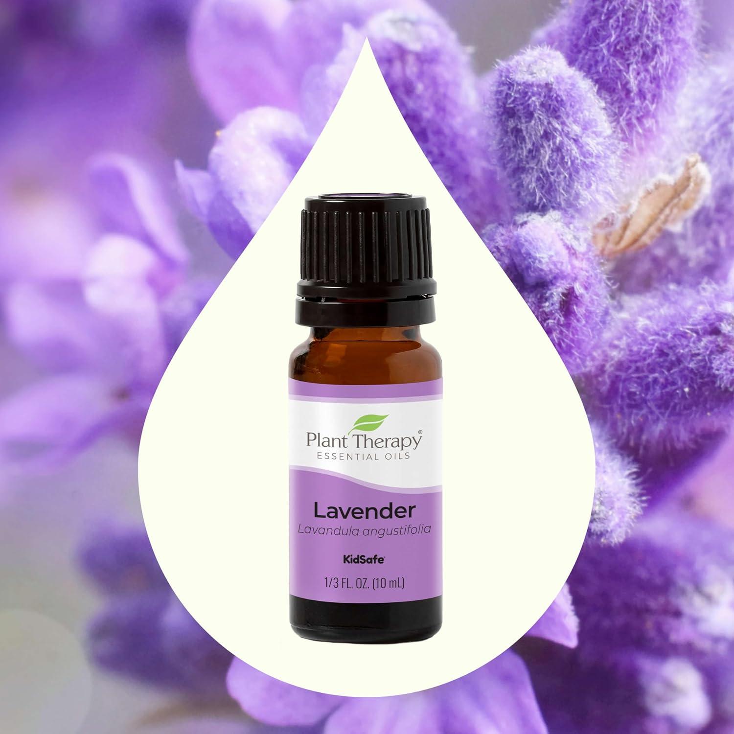 Plant Therapy Lavender Essential Oil 100% Pure, Undiluted, Therapeutic Grade, Aromatherapy Diffuser for Relaxation and Body Care, Healthy Skin and Hair, 10 mL