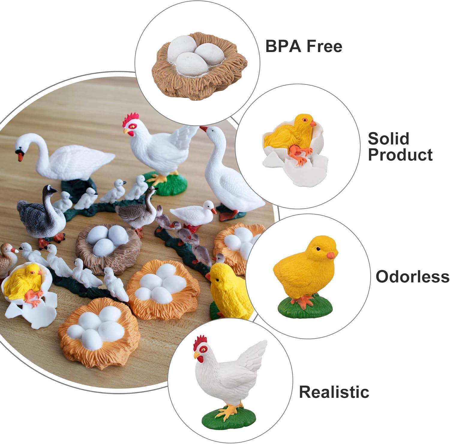 TOYMANY 16PCS Farm Animals Figurines Life Cycle of Chicken Hen Duck Goose White Swan, Plastic Safariology Growth Cycle Eggs Figures Toy Kit School Project Cake Topper for Kids Toddlers