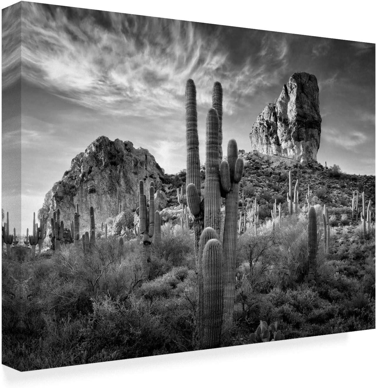 Trademark Fine Art -David Drost 'Black And White Desert View I' Canvas Art