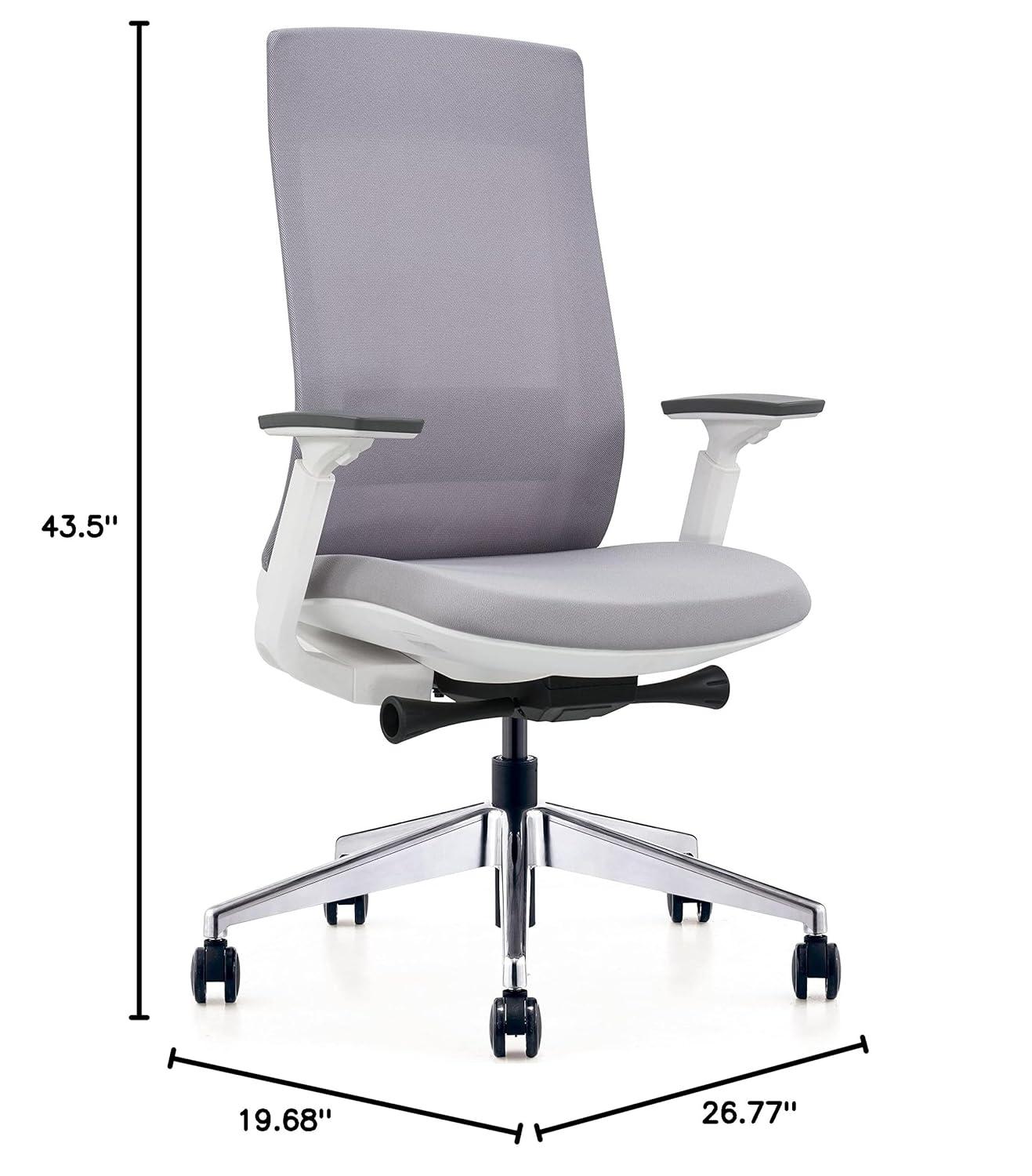 Eurotech Elevate Ergonomic Adjustable Office Chair, White Frame Gray Mesh