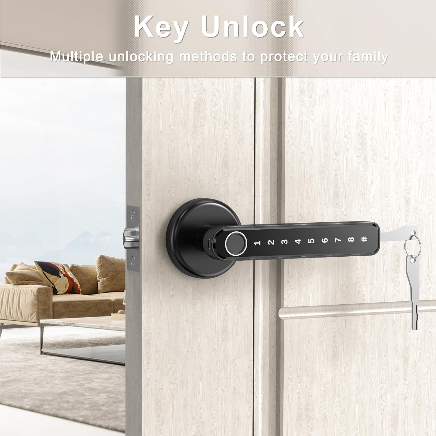 Black Biometric Fingerprint Keypad Door Lock with Handle