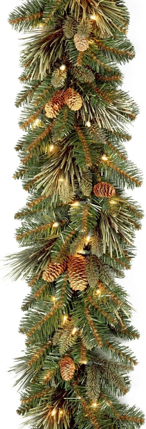 The Holiday Aisle® 9ft. Carolina Pine Garland with Clear Lights