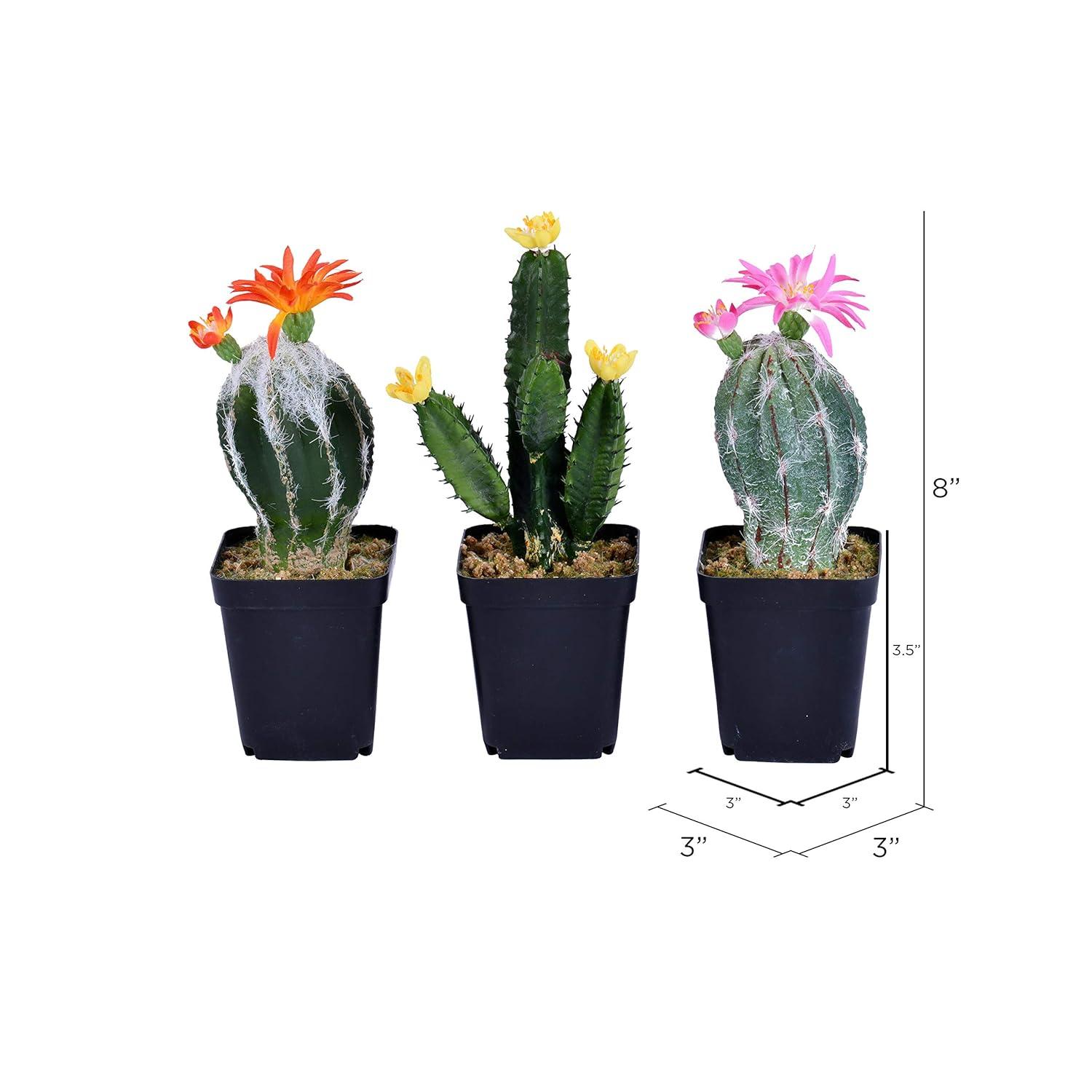 Vickerman 8" Artificial Cactus, Black Plastic Planters Pot, Set of 3