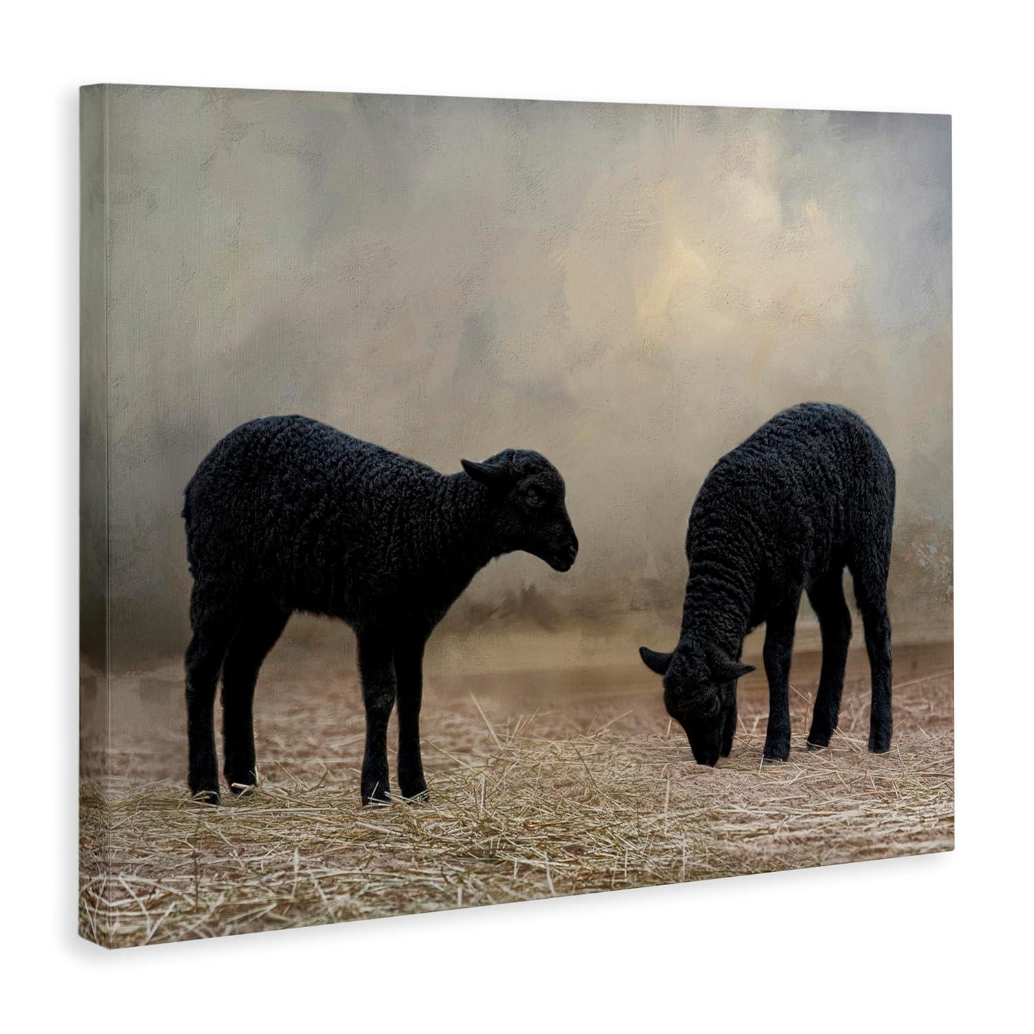 Stupell Industries Black Sheep Grazing Animals & Insects Photography Gallery Wrapped Canvas Art Print Wall Art, 20 x 16