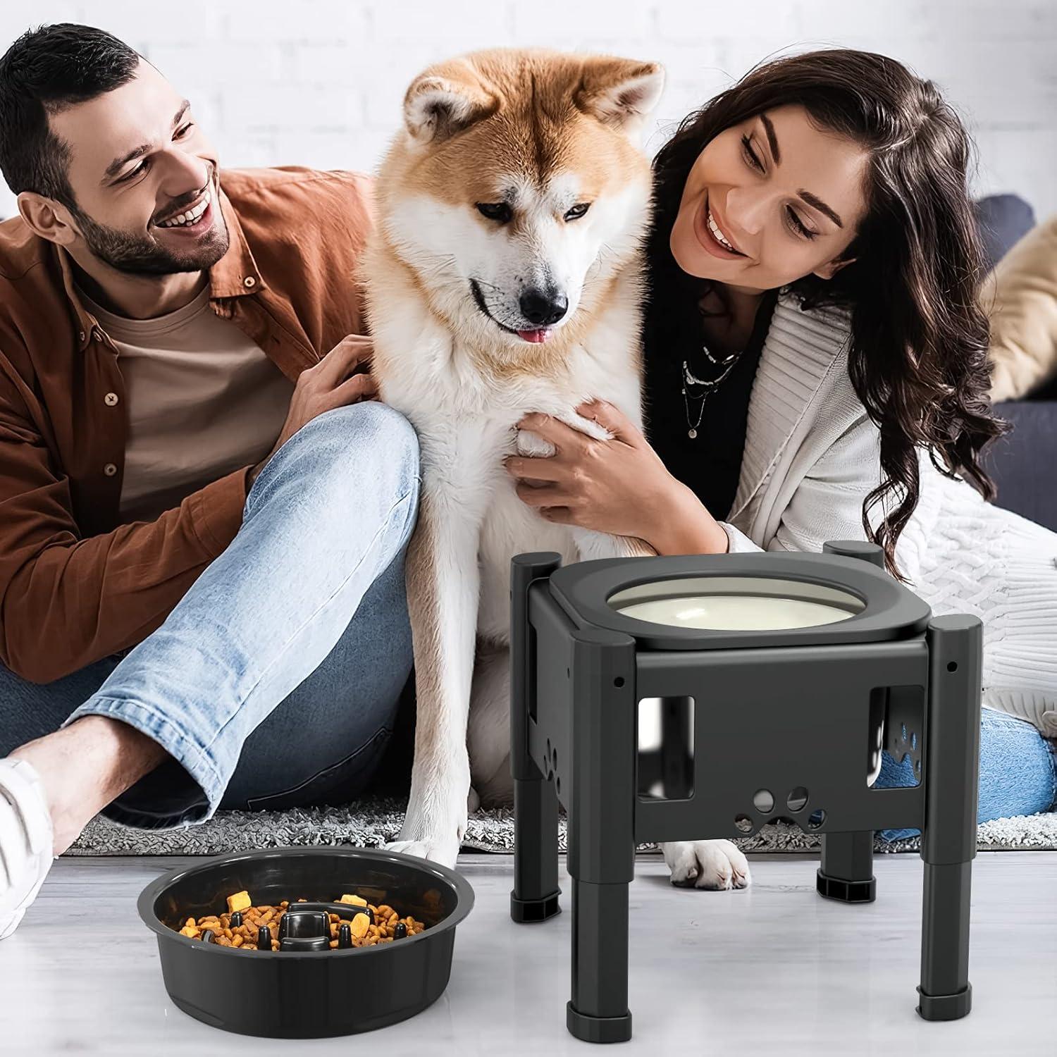 Adjustable Black Elevated Dog Water Bowl with Slow Feeder