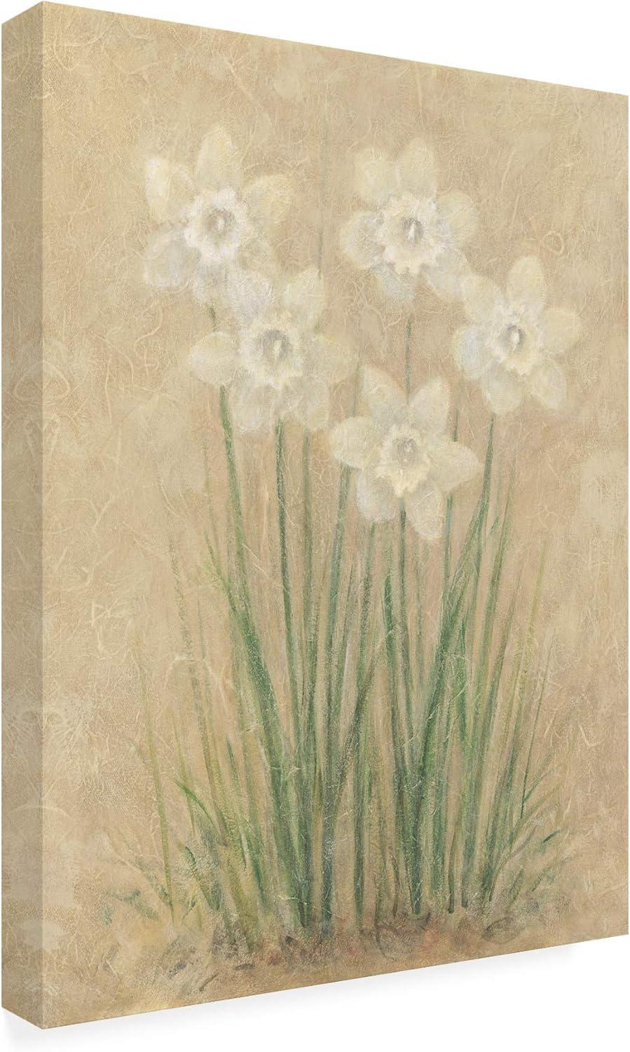 Trademark Fine Art 'White Daffodils' Canvas Art by Debra Lake