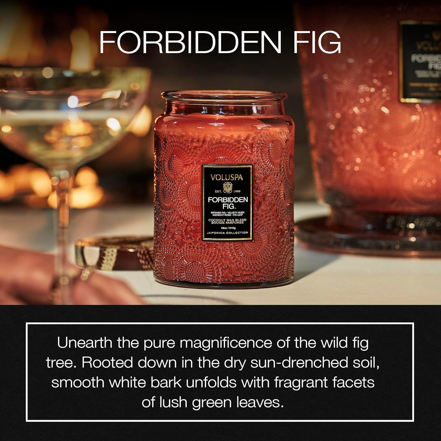 Forbidden Fig Large Jar Candle with Japonica Pattern