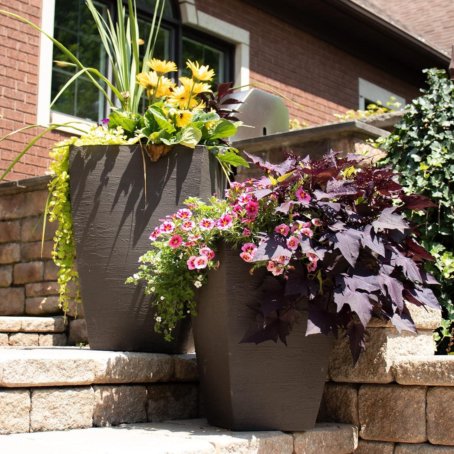 Orren Ellis Bollingt Pot Planter (Set of 2)