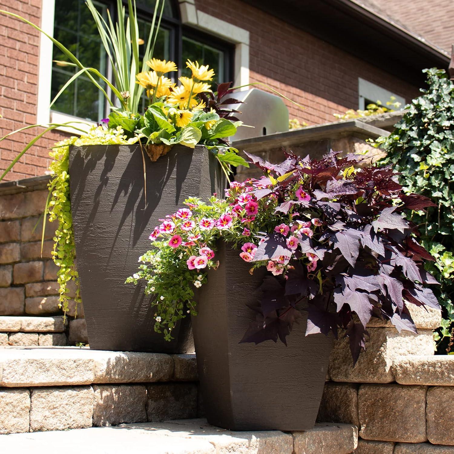 Orren Ellis Bollingt Pot Planter (Set of 2)