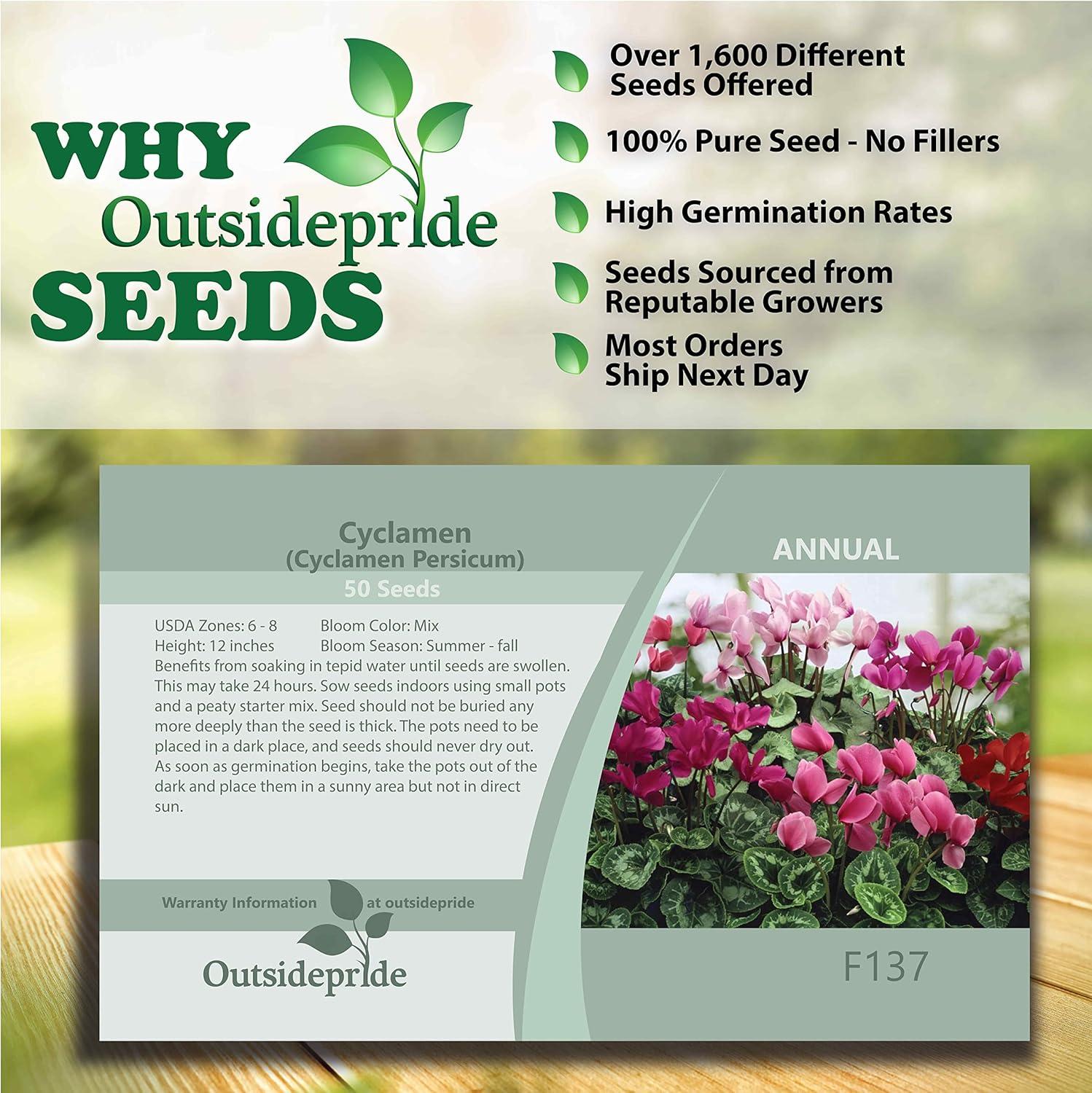 Outsidepride Annual Cyclamen Persicum for Partial Shade - 100 Seeds