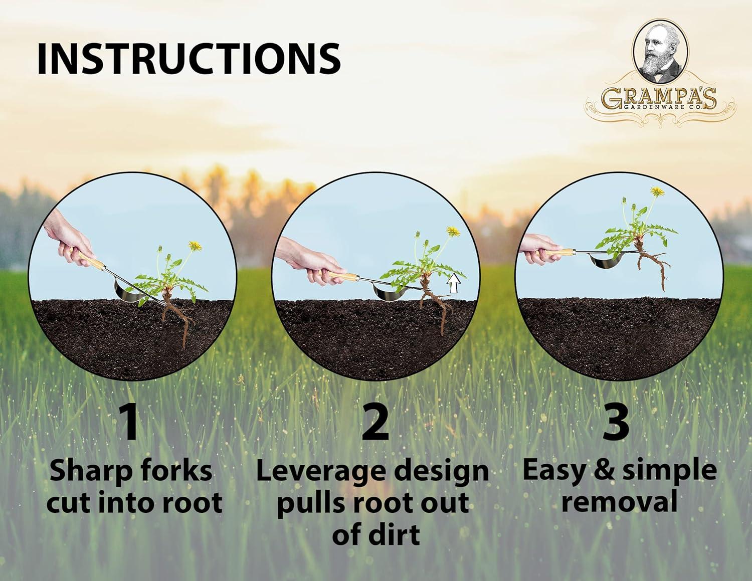 Grampa's Herramienta Hand Weeder: la Herramienta Ligera y Fácil de Usar para Quitar Malezas para Jardín, un Diseño de Palanca Nico y Duradero con Tenedores en Forma de V Que Permite Eliminar Fácilmente las Malas Hierbas y Sus Raíces.