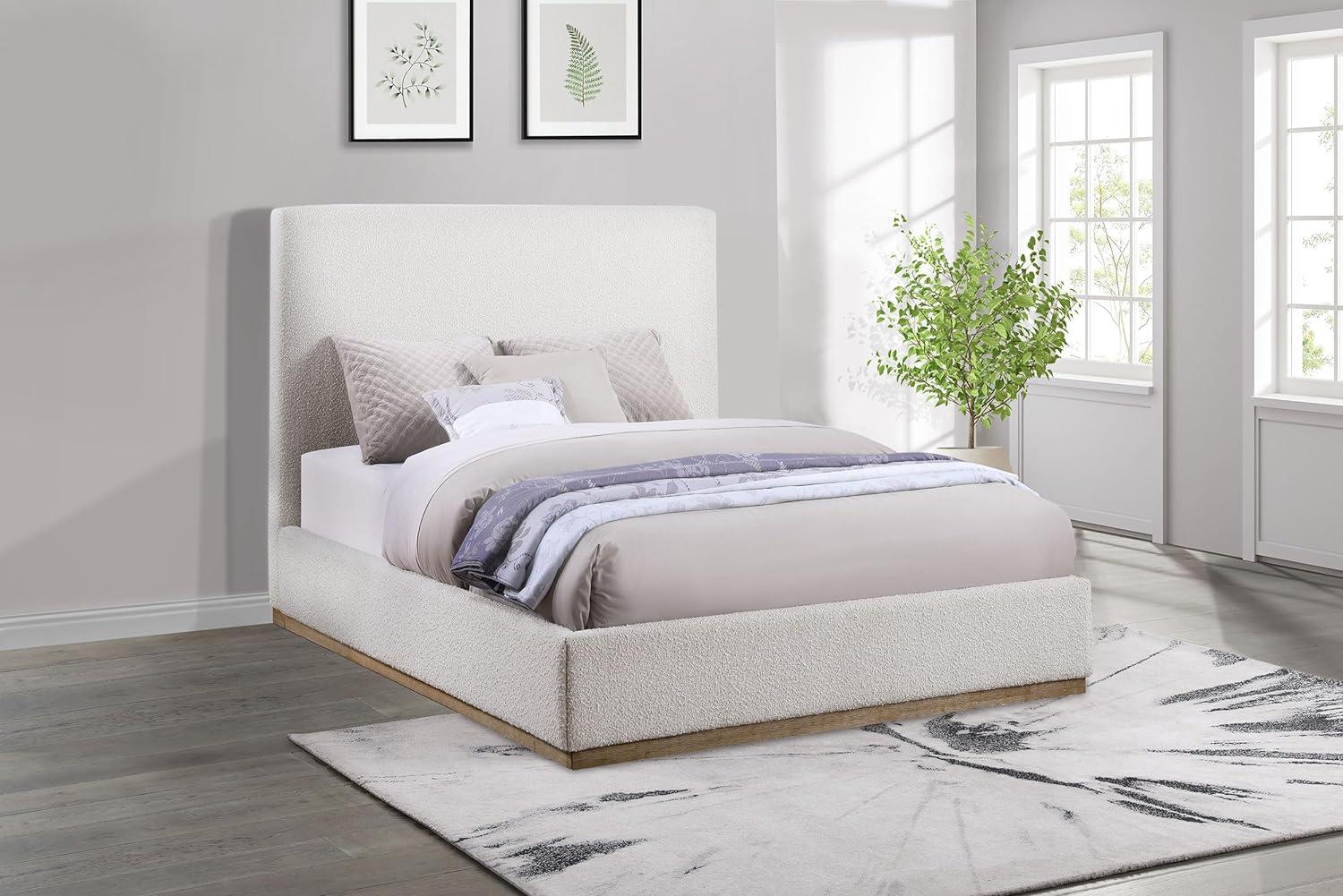 Coaster Knox Transitional Fabric Upholstered Queen Platform Bed Cream