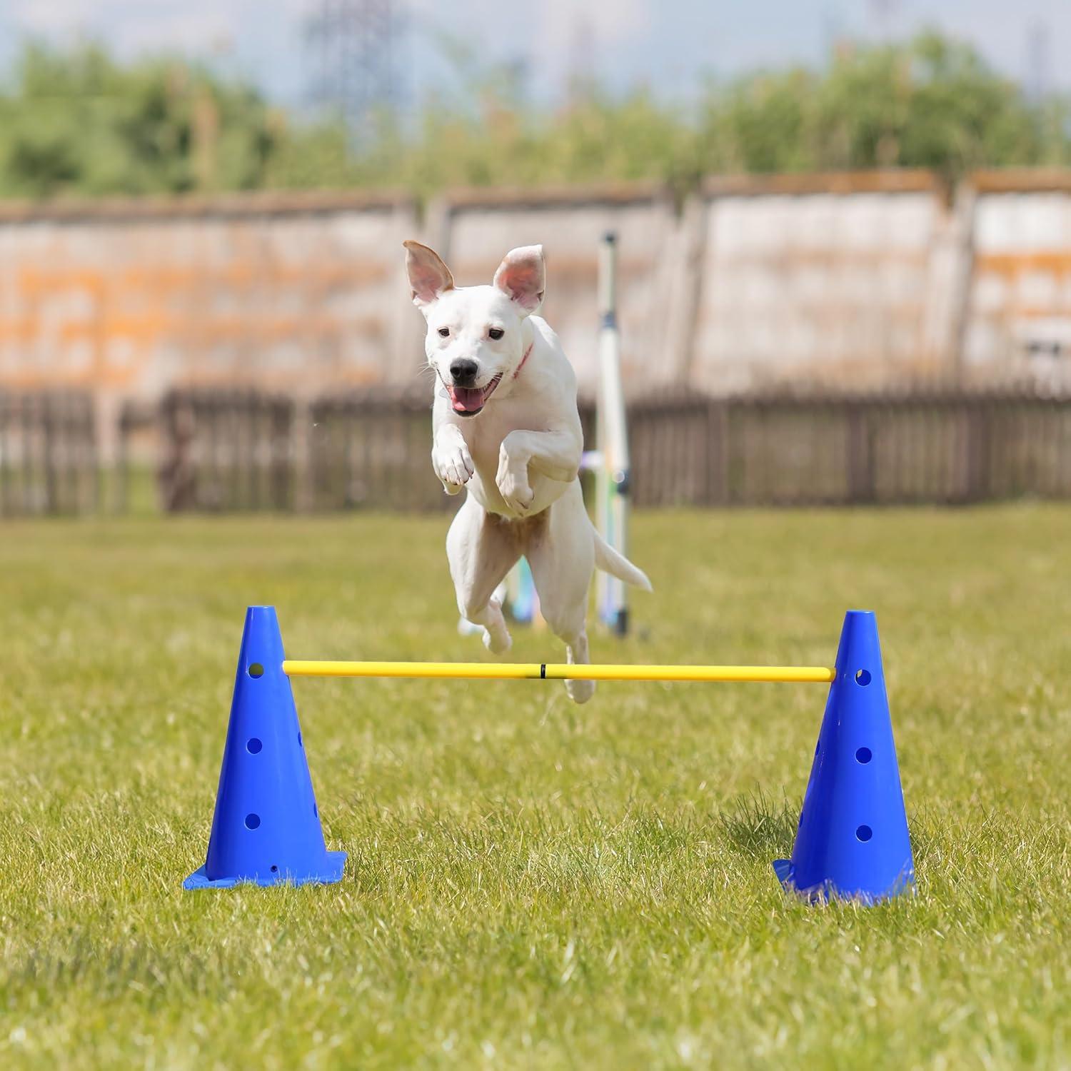 MiMu | Hurdle Cone Set with Training Cones and Agility Poles – Agility Ladder