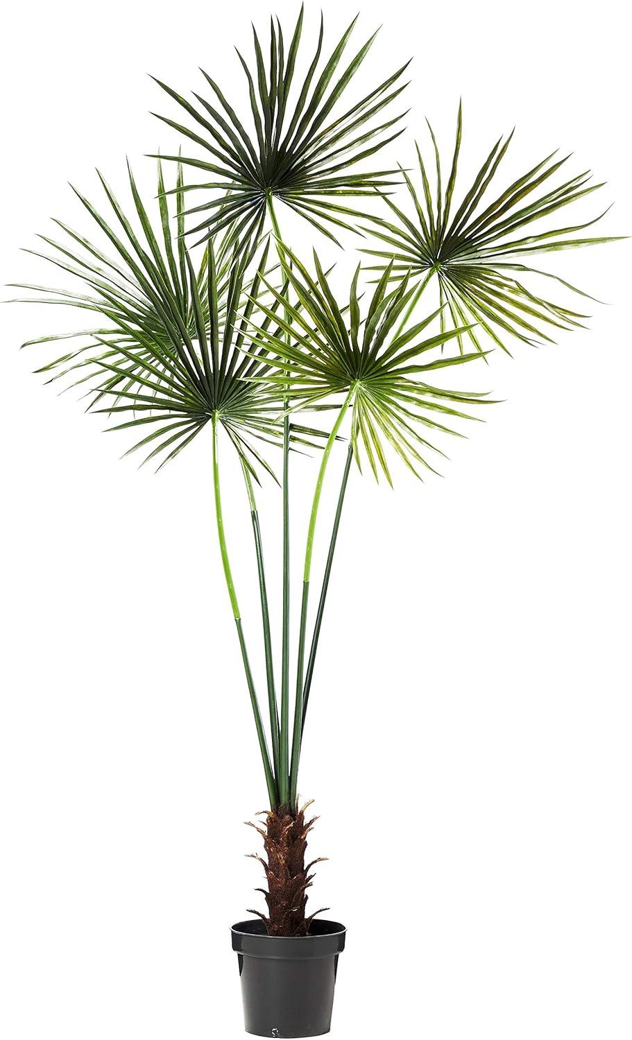 Tropical Majesty 7ft UV Resistant Silk Fan Palm Tree in Decorative Pot