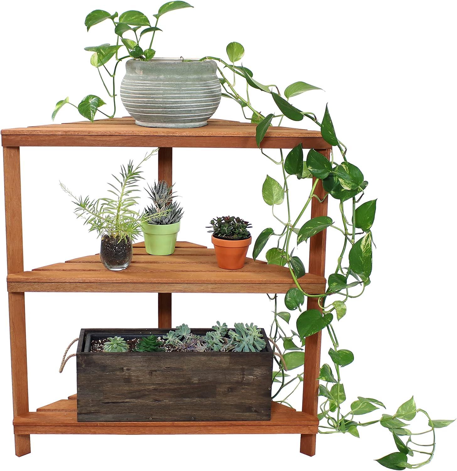 Sunnydaze Indoor/Outdoor Meranti Wood with Teak Oil Finish 3-Tiered Corner Flower Plant Stand Shelf Display - 36" - Brown