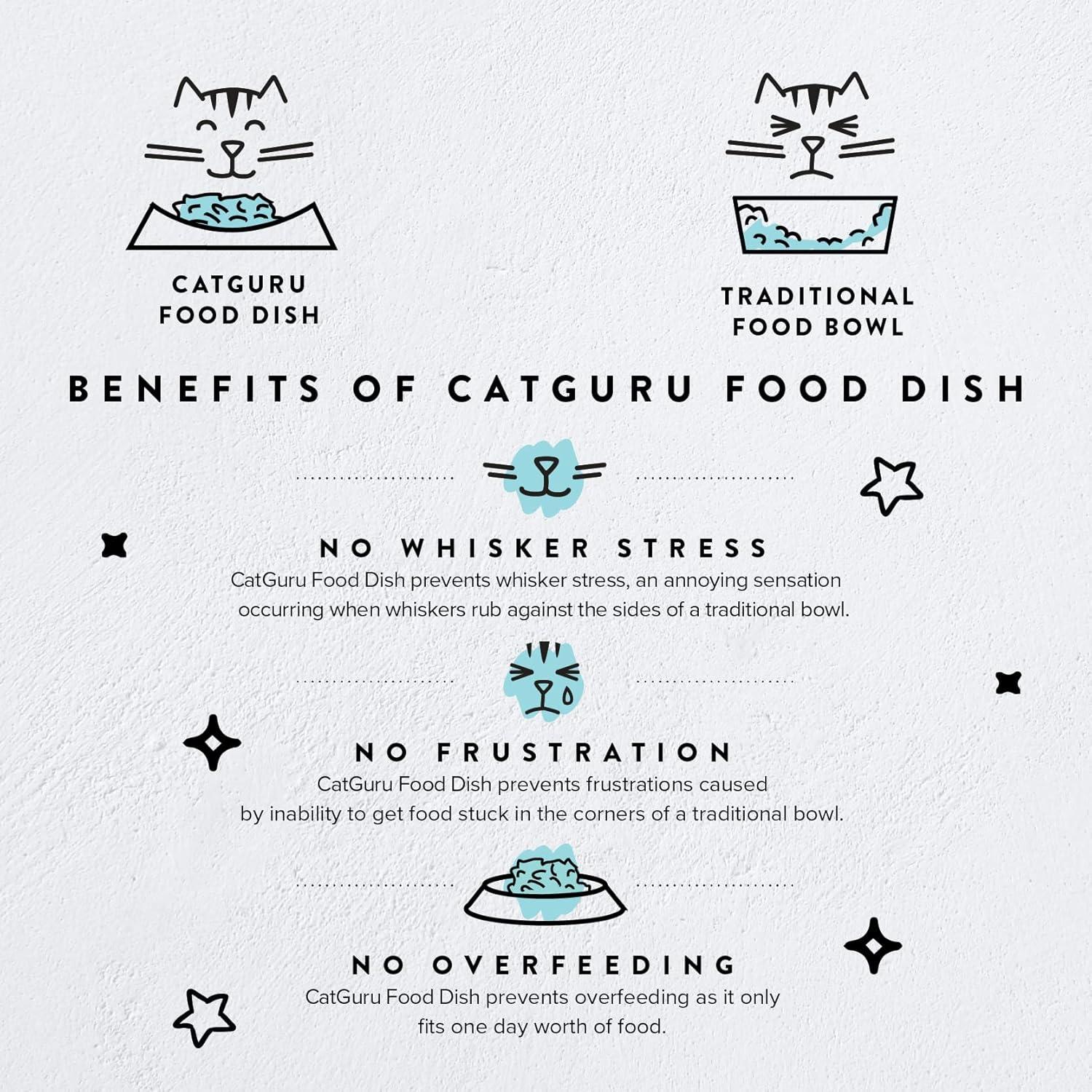 CatGuru Cat Bowls, Whisker Stress Free Cat Food Bowl, Reliefs Whisker Fatigue, Wide Cat Bowl, Non Slip Cat Food Bowls, Shallow Cat Dish, Cat Feeding & Watering Supplies (Stainless Steel)