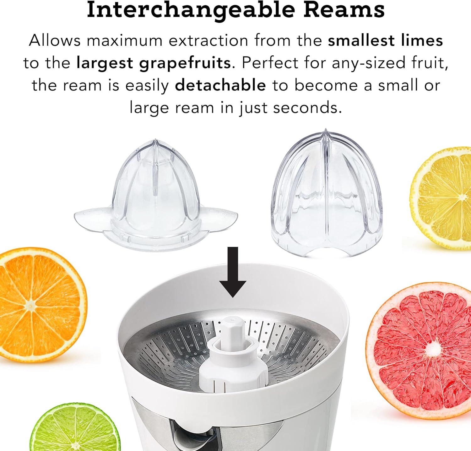 White Electric Stainless Steel Citrus Juicer