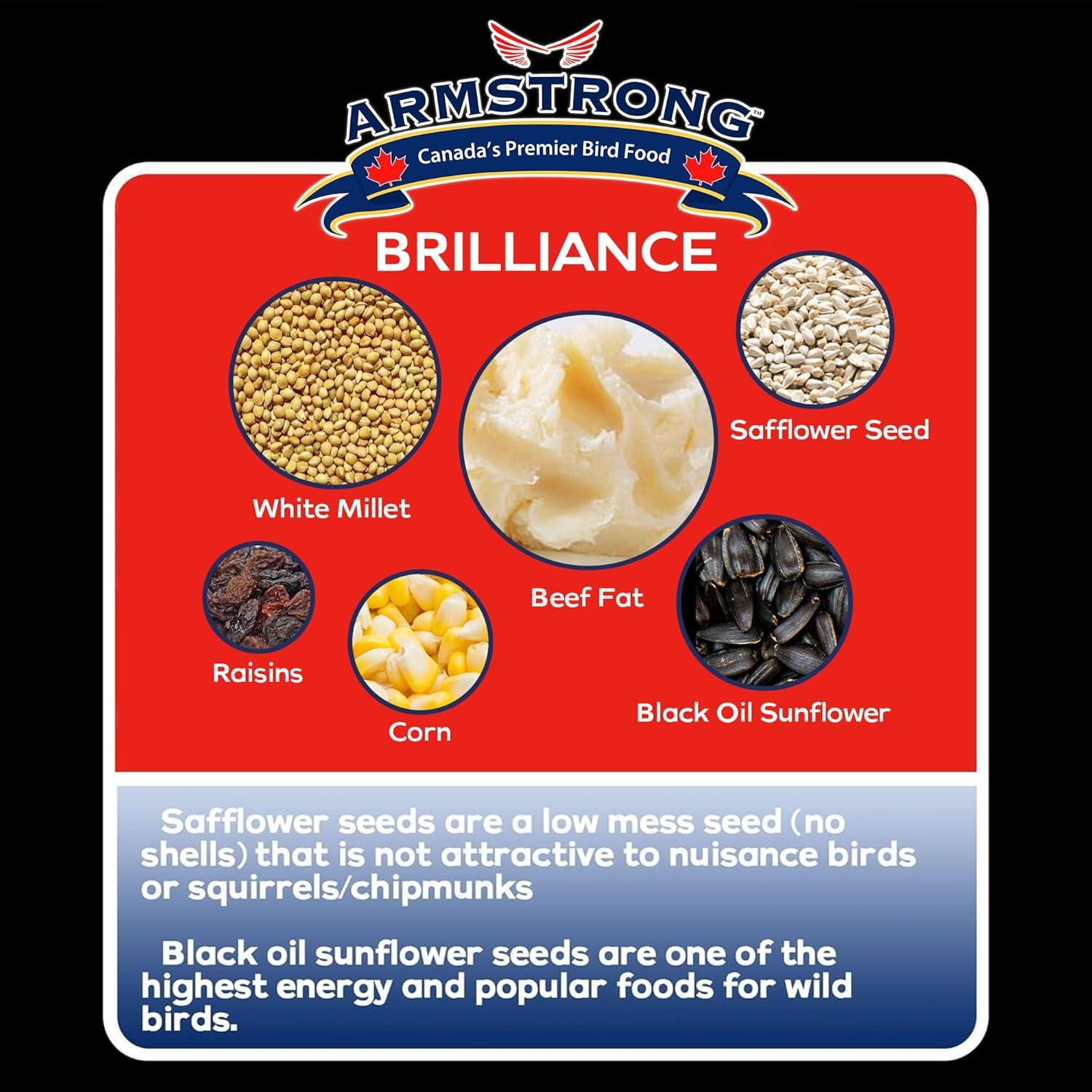 Armstrong Wild Bird Food Royal Jubilee Brilliance Suet Cake, 10.6oz (Pack of 3)