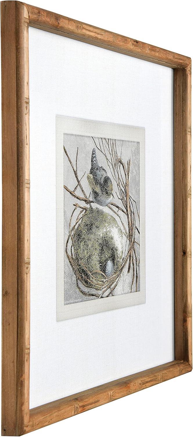 Storied Home (Set of 2) 18" Square Wood Framed Wall Arts with Bird and Nest : Modern Decor, Sawtooth Back Mount