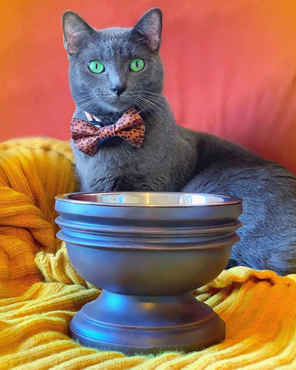 Small Brown Elevated Pet Bowl with Stainless Steel Insert