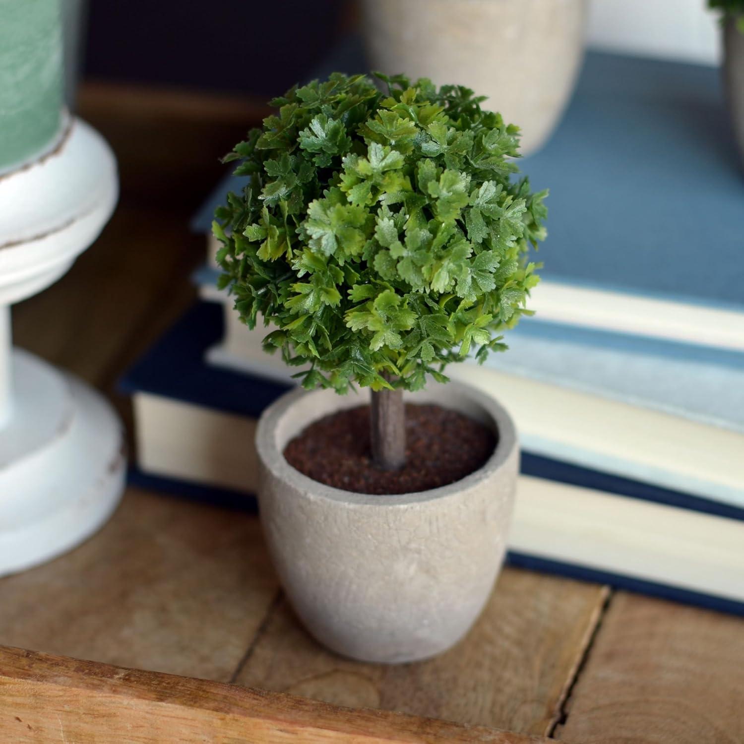 Realistic Faux Boxwood Sculptural Topiary, Set of 3, Curly Leaf, Cone and Ball Tops, Gray Stone Pot, Each 5 1/2 Inches Tall, Mixed Materials