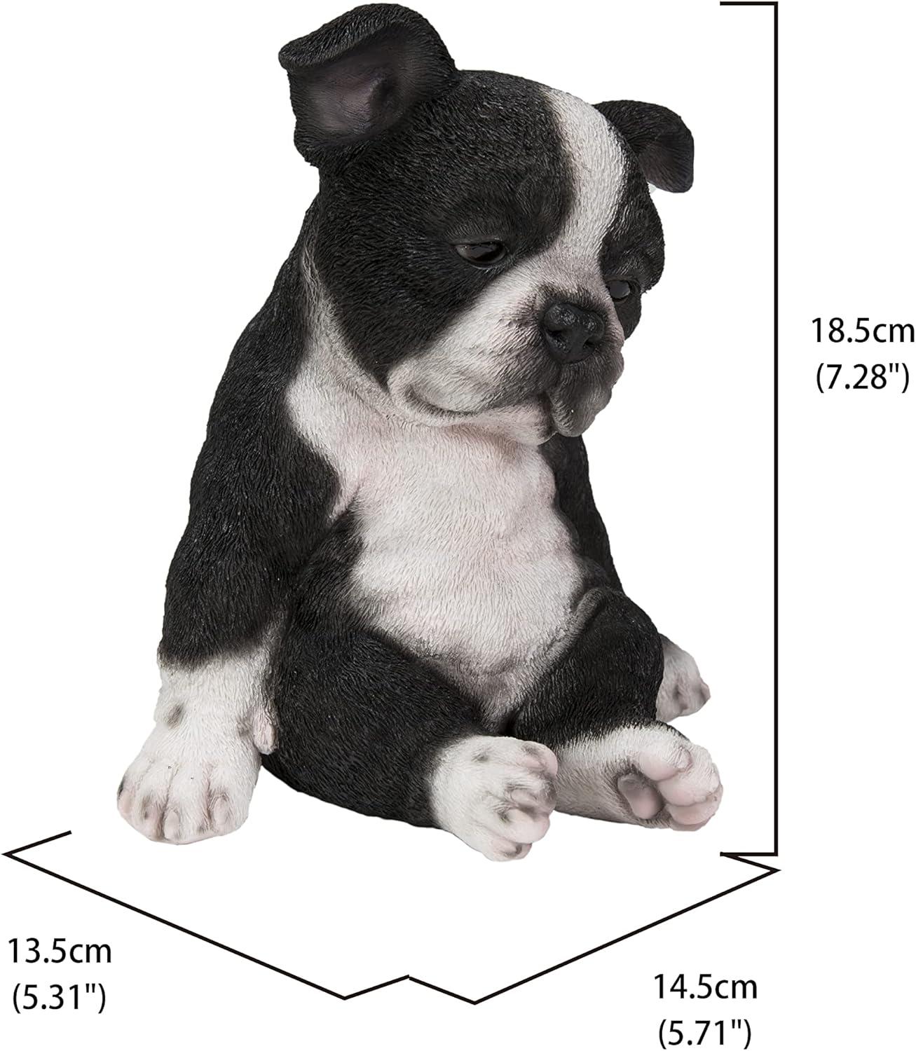 Sleepy Black and White Boston Terrier Puppy Polyresin Statue