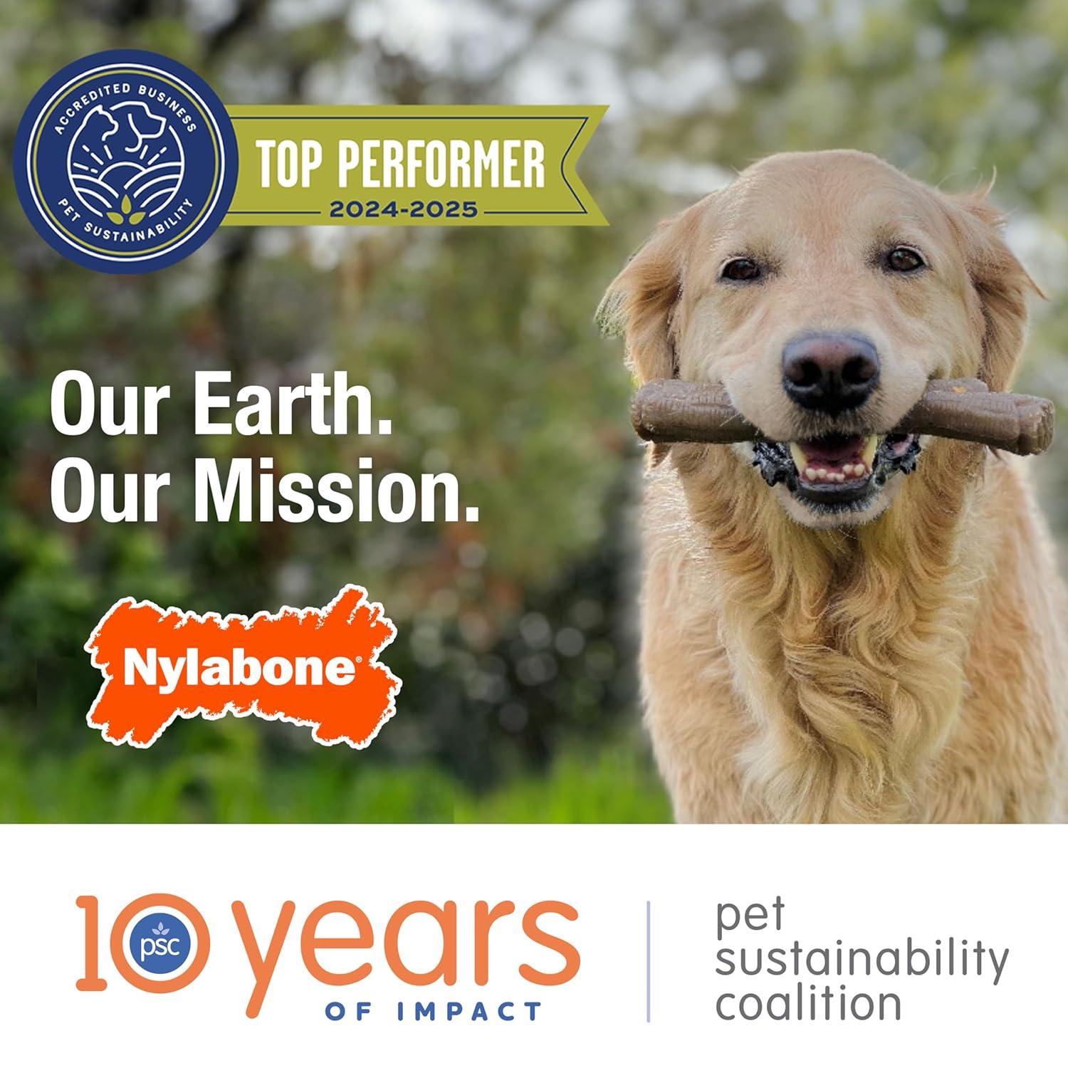 Nylabone Dura Chew Dog Bone - Original Flavor(Souper)