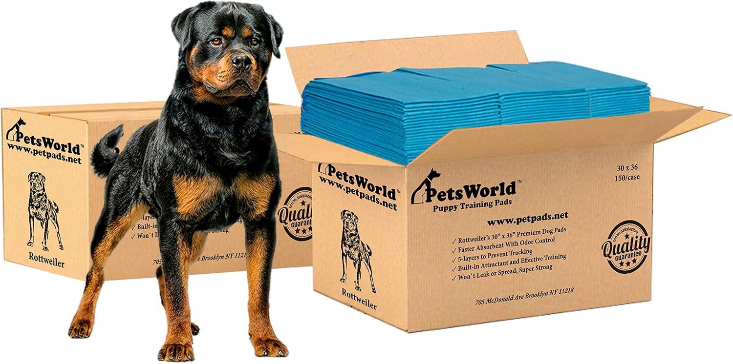 Extra Large Blue Odor Eliminating Dog Potty Pads, 300 Count