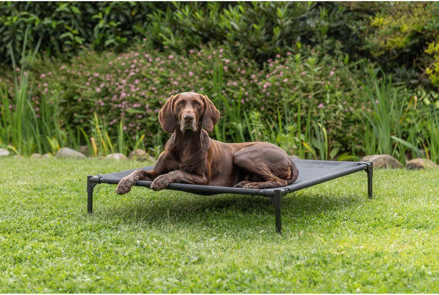 TRIXIE 2-in-1 Elevated Dog House, Portable Pet Camping Cot & Tent, Raised Bed & Dog Shade for Dogs