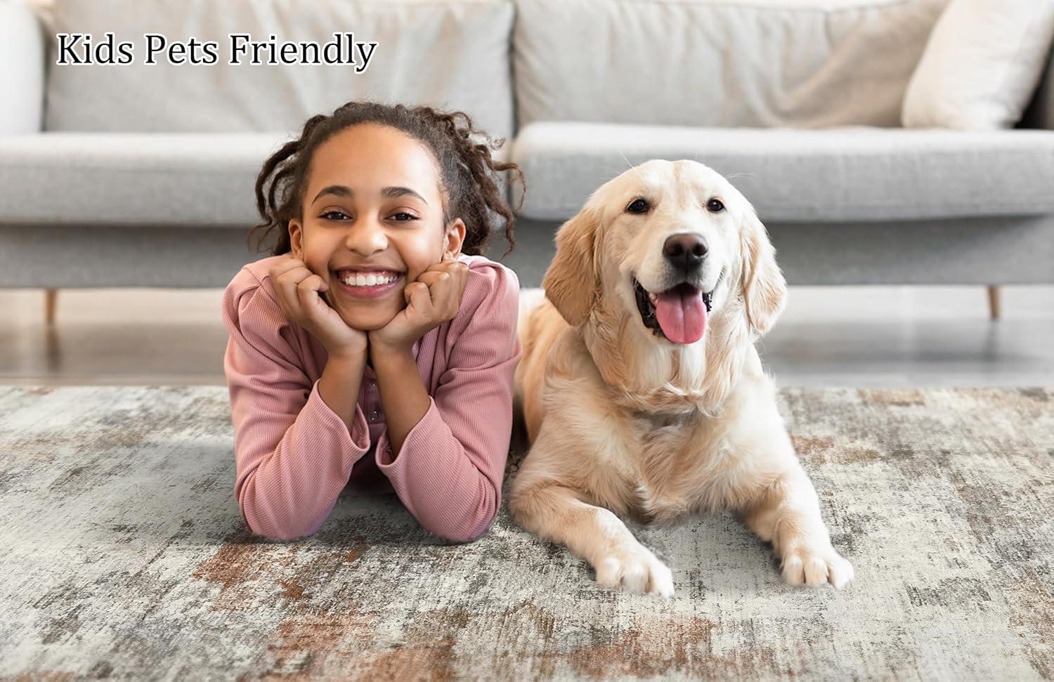 Area Rugs for Living Room: 8x10 Washable Neutral Modern Rug for Bedroom Large Soft Abstract Dining Room Rugs Indoor Floor Low Pile Carpet for Home Office Nursery - Rust Grey