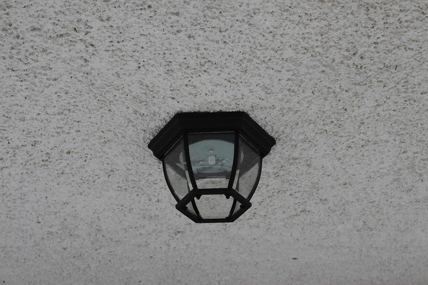 Design House 578518 Canterbury II Integrated LED Outdoor/Indoor Ceiling Light with Clear Glass in Black