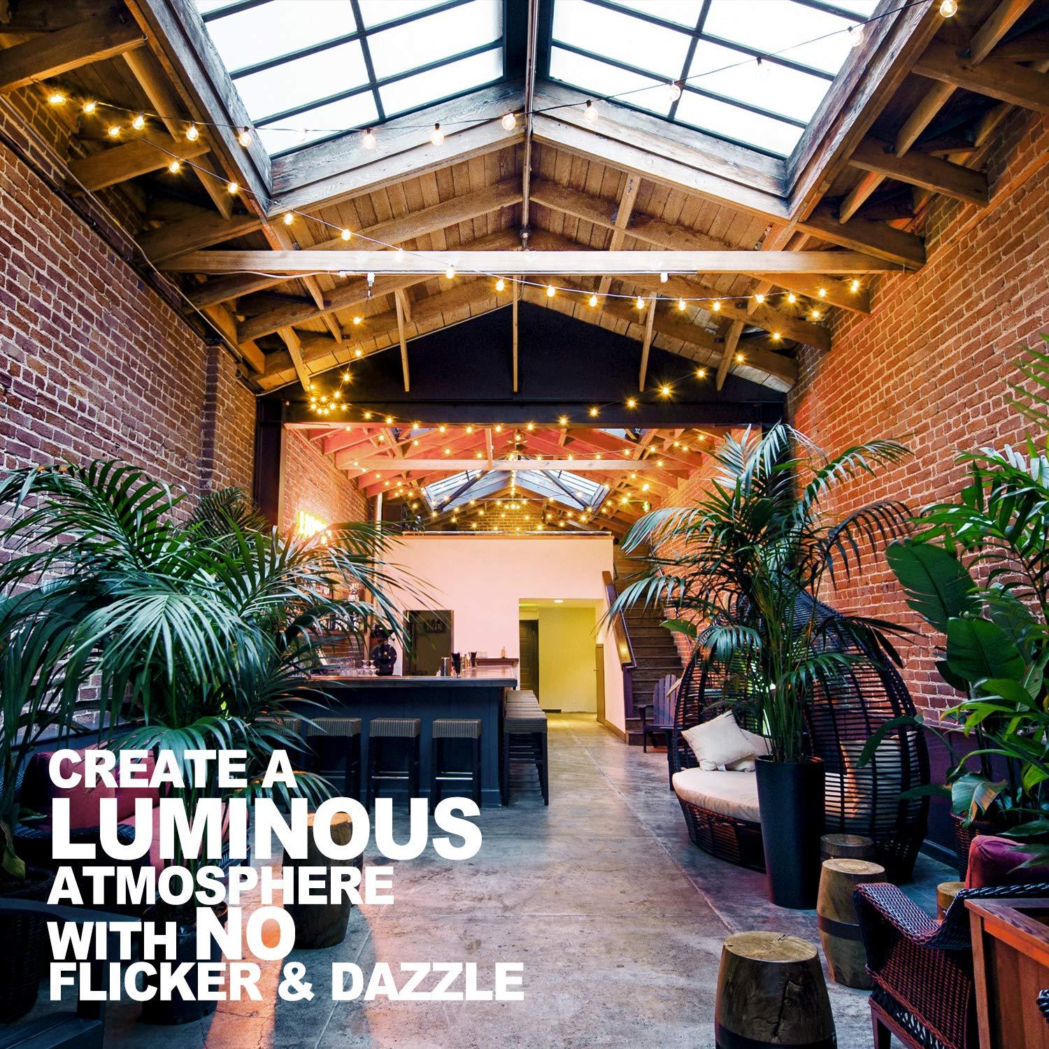 Betus 6.5 Ft 10 LEDs Pineapple Fairy String Light - Decor Gifts Battery Operated (Warm White)