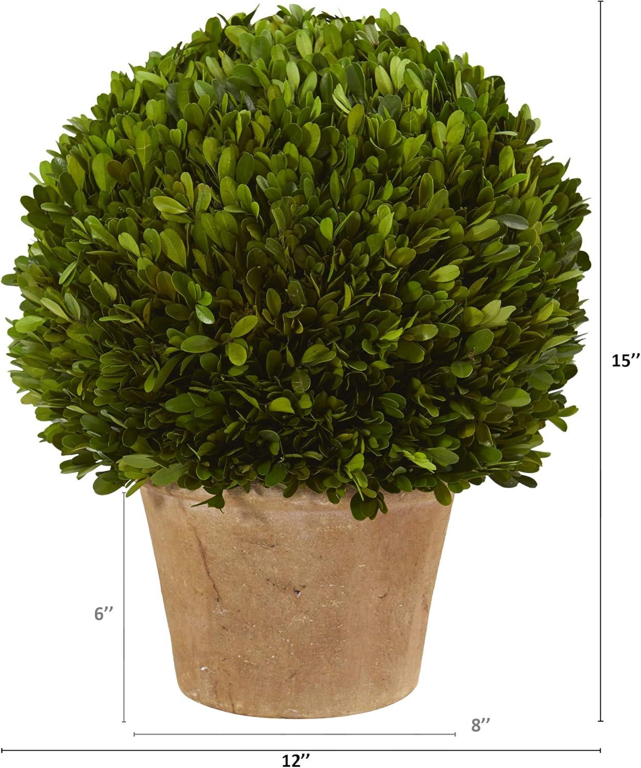 Nearly Natural 15-in Boxwood Ball Preserved Plant in Planter