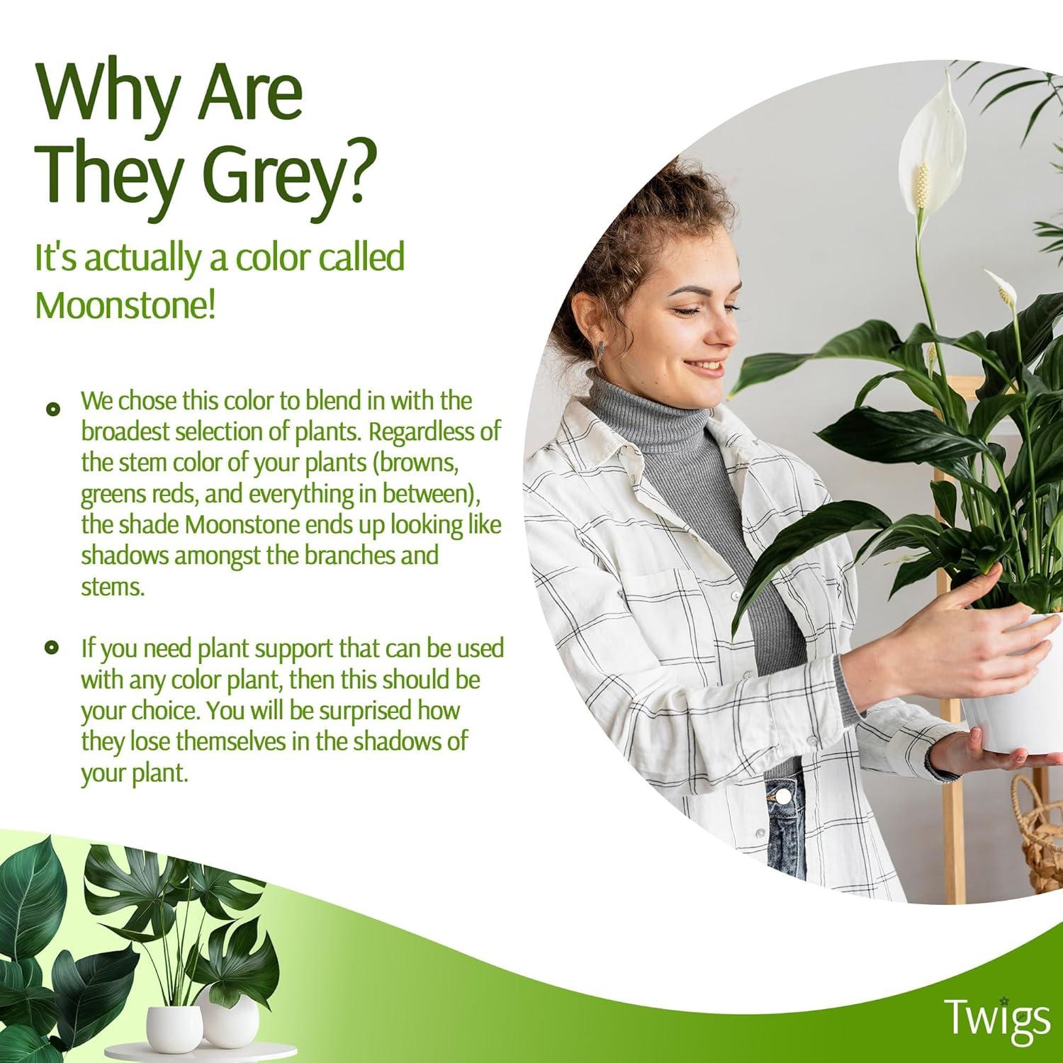 Stackable Plant Support Stakes, Stem Holder Structures for Indoor & Outdoor Use, Garden Accessories for Climbing & Potted Plants, Trellis Alternative - Moonstone, 10 Pack, 17" L