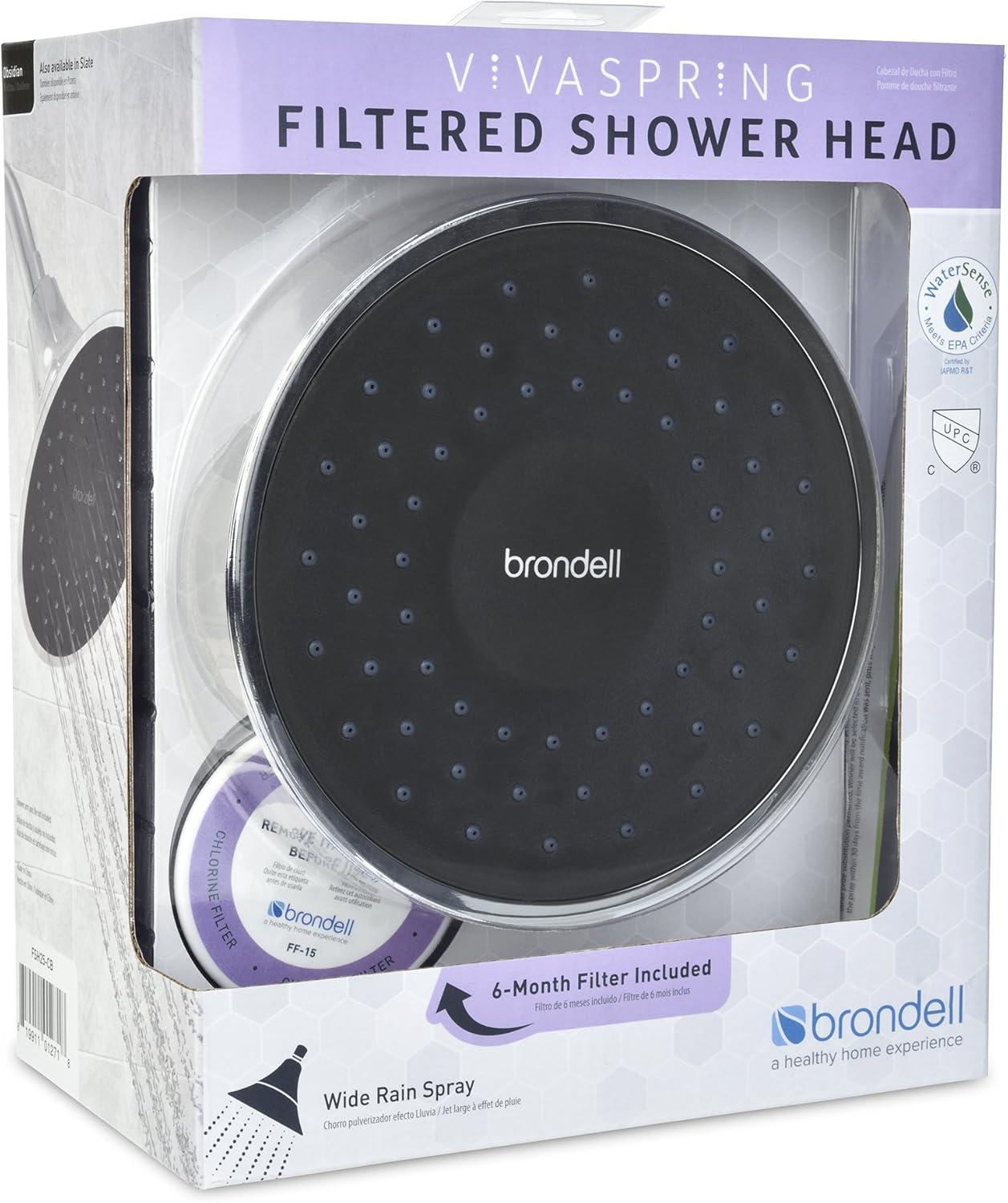 Chrome Handheld Rain Shower Head with Filter