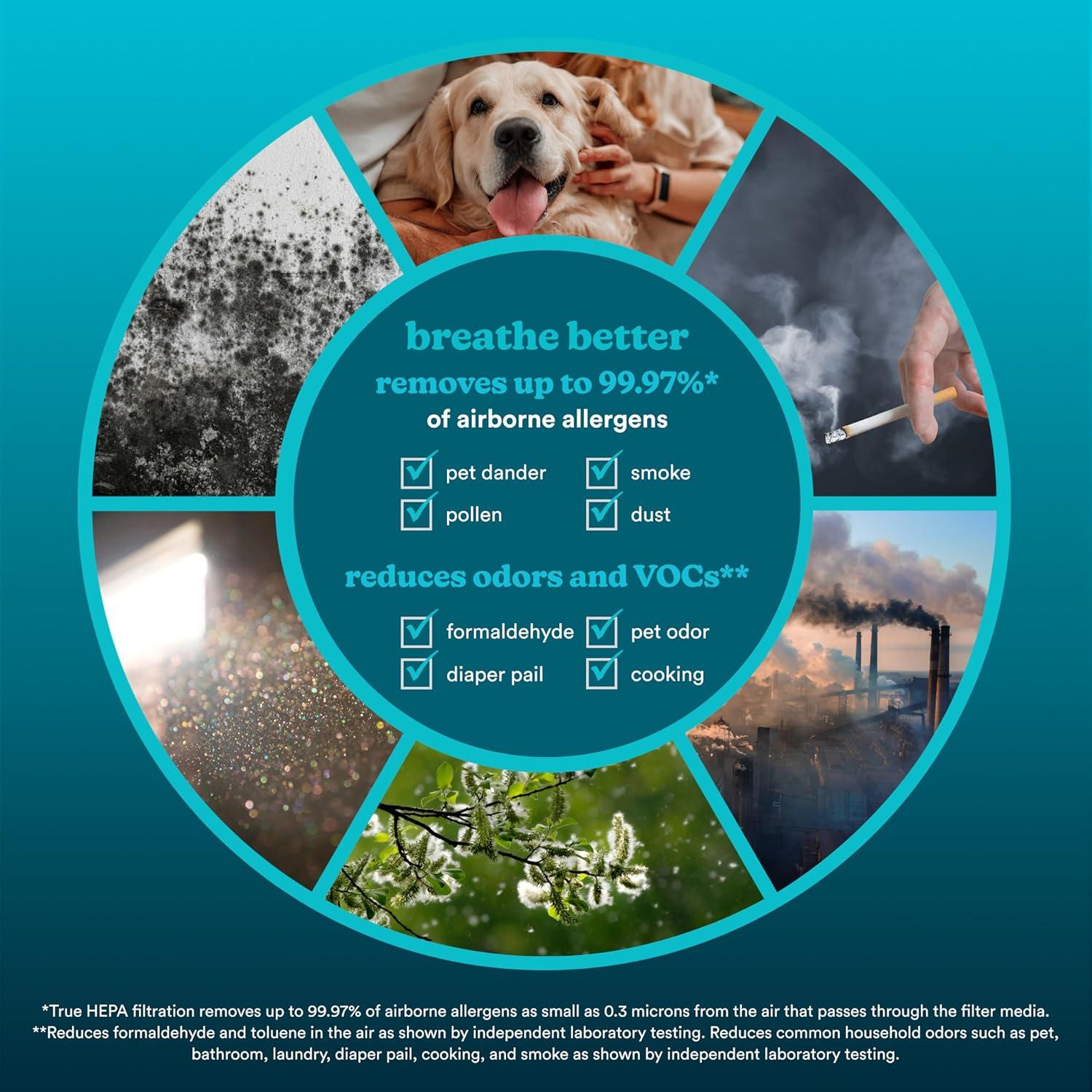 Homedics True HEPA Replacement Filter, Activated Carbon Filter, Air Cleaner, Works with Homedics AP-C500 Air Purifier, Captures Microscopic Airborne Particles