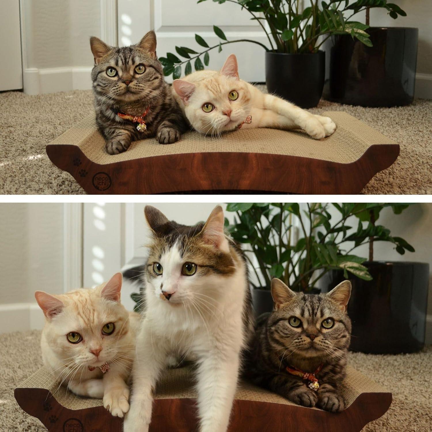 Necoichi Cardboard Cat Scratcher Bed for Indoor Cats - Cat Scratching Board, Horizontal Cat Scratch Pad Lounger with Reversible Usability and Extra Comfort for Lounge, Curved (22" Large, Dark Cherry)