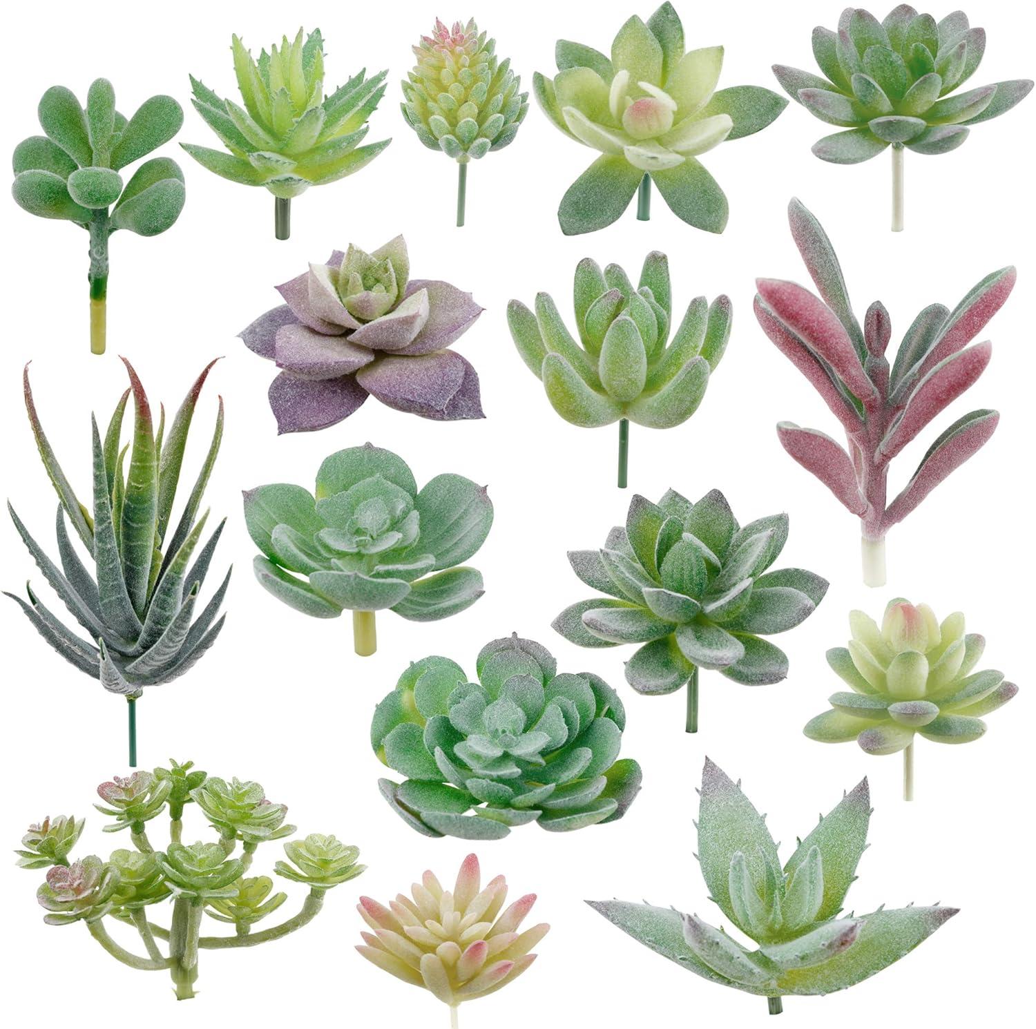 16 Pack Artificial Succulents Plants - Small Fake Plants for Miniature Gardens - Quality PVC Plastic - Faux Succulent Decor - Unique and Varied Designs - Ideal for Beautiful Gardens|The 16 pack of Art