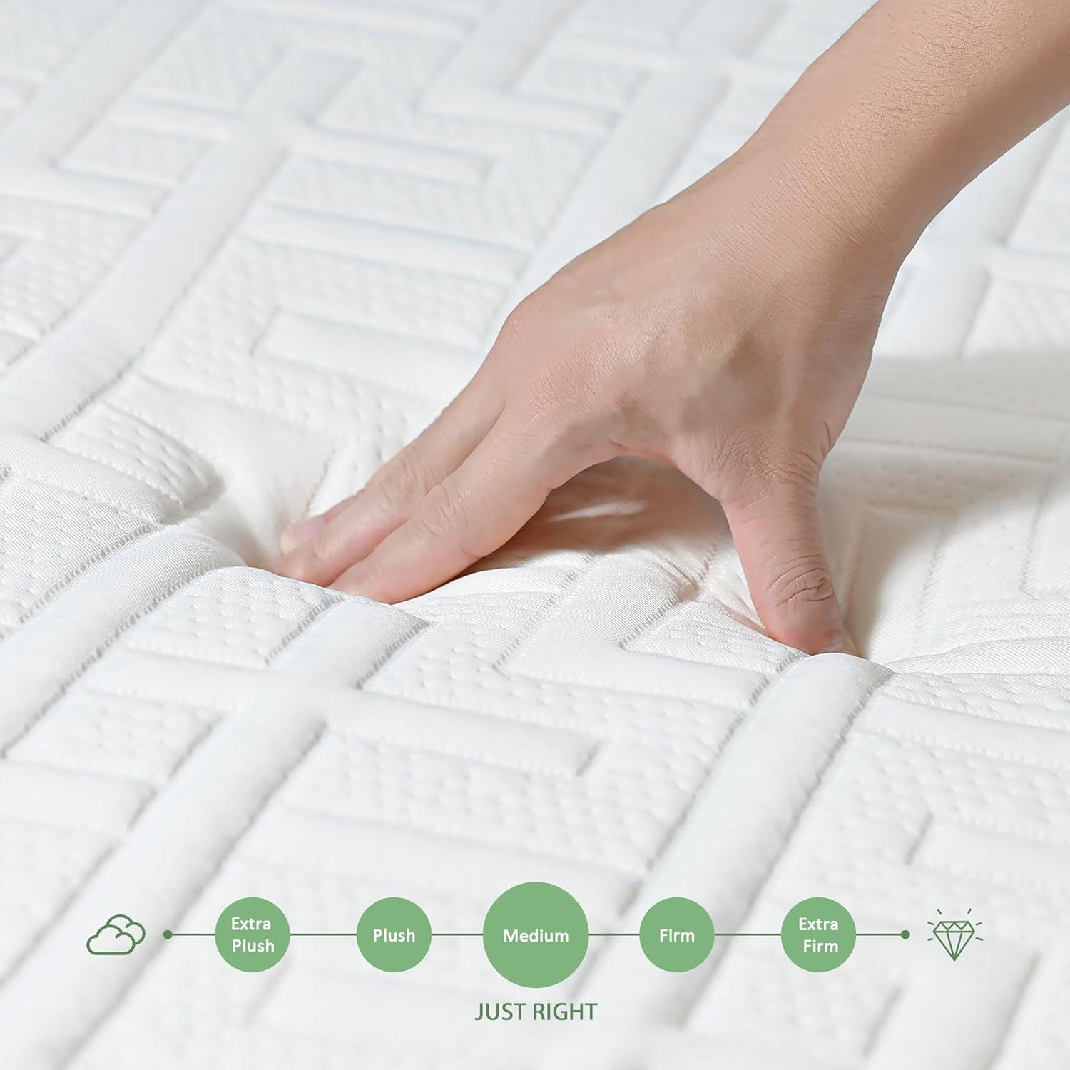 Queen 10-Inch Green Tea Memory Foam Mattress