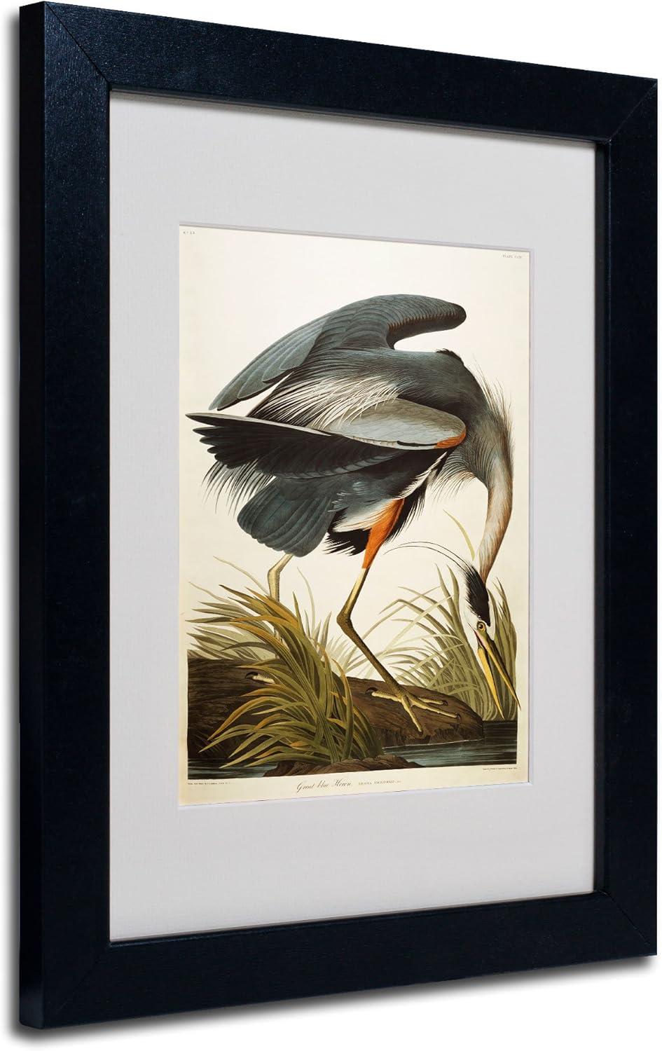 " Great Blue Heron " by James Audubon