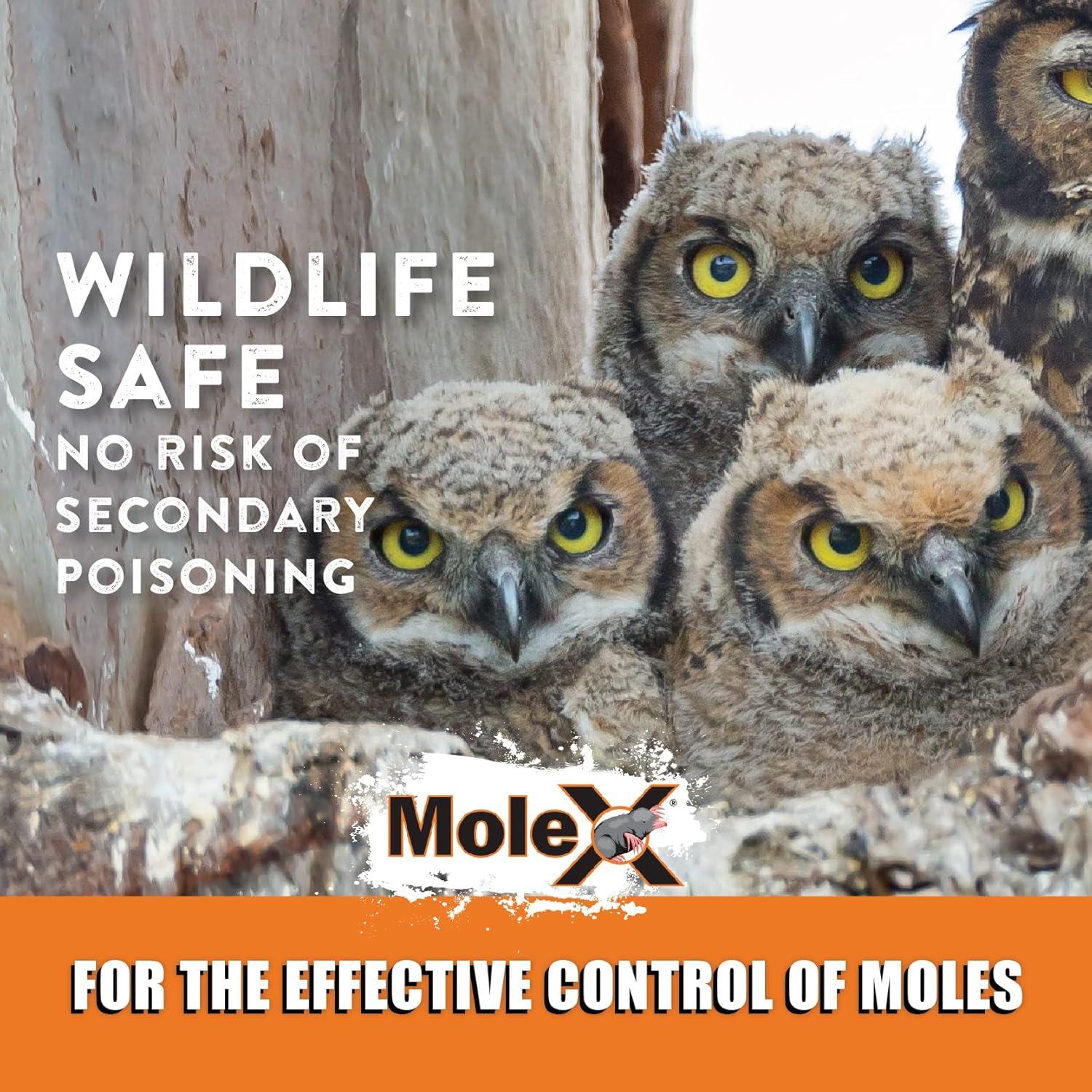 MoleX, Safely Eliminate All Species of Moles - 8oz Bag EcoClear Products 620204-6D