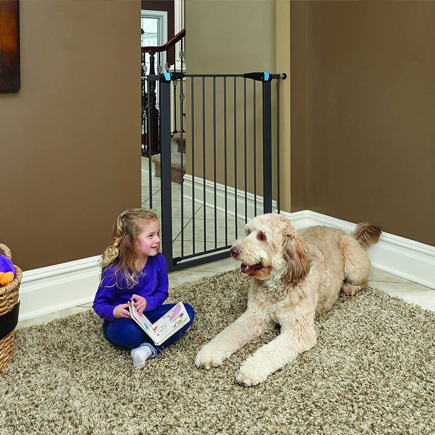 Midwest Homes For Pets MidWest Homes for Pets Gate/ Walk-thru Steel Pet Gate