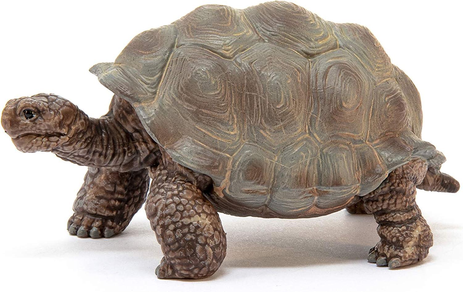 Schleich 9060819 Plastic Wild Life Giant Tortoise Toy, Beige & Brown - Pack of 5