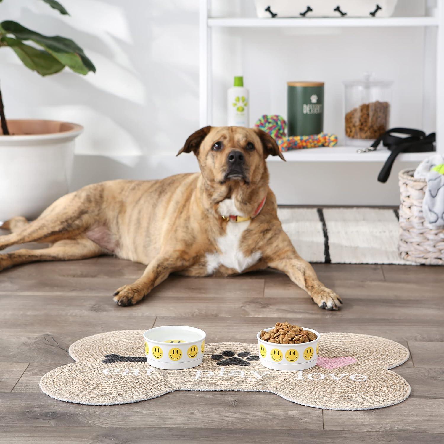 Pet Bowl - Smiley Face Small 4.25Dx2H SET/2