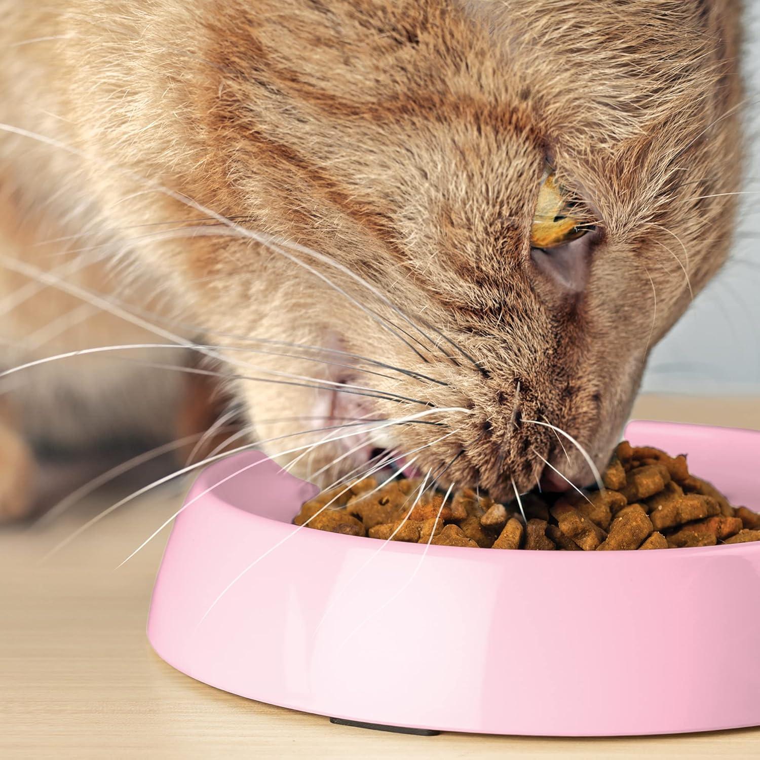 CatGuru Cat Bowls, Whisker Stress Free Cat Food Bowl, Reliefs Whisker Fatigue, Wide Cat Bowl, Shallow Cat Dish