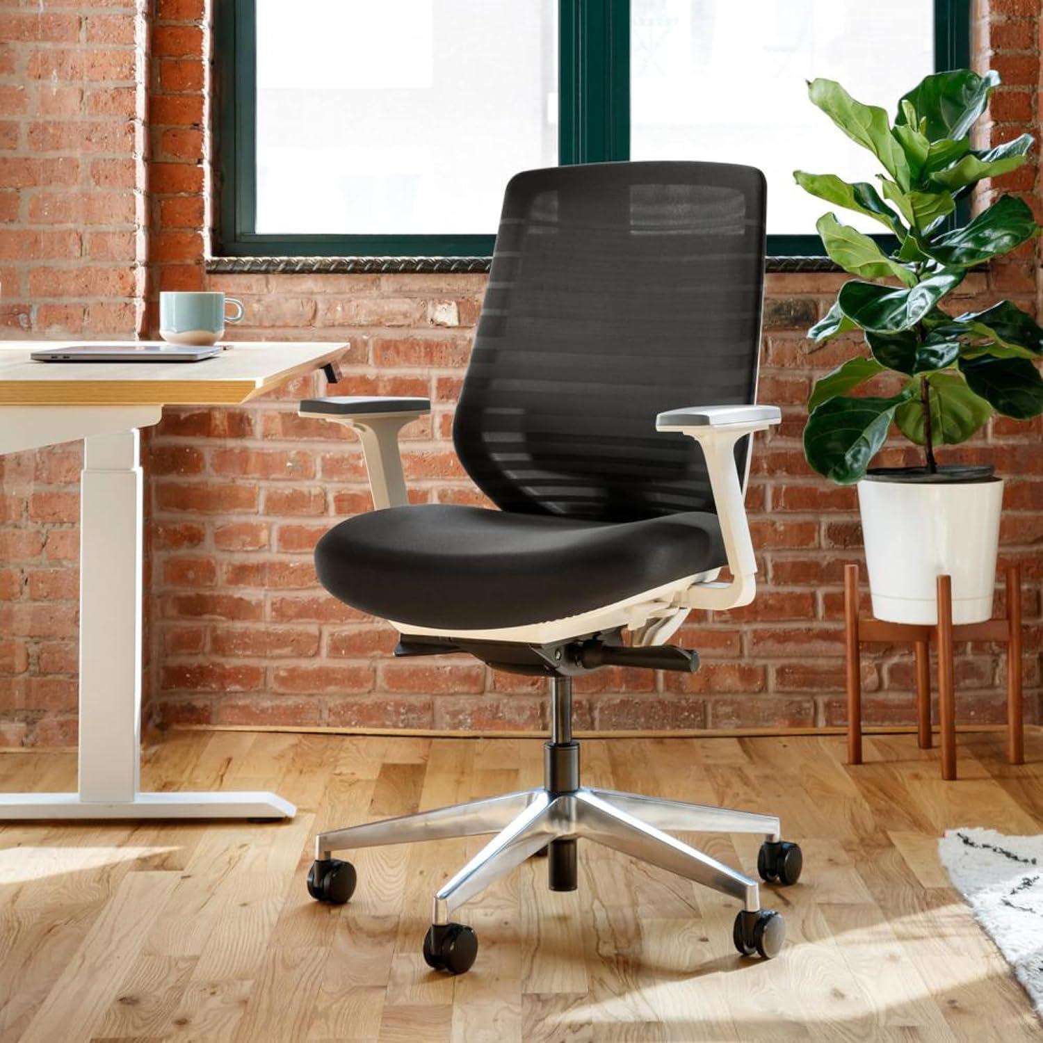 Standard Black and White Ergonomic Mesh Task Chair