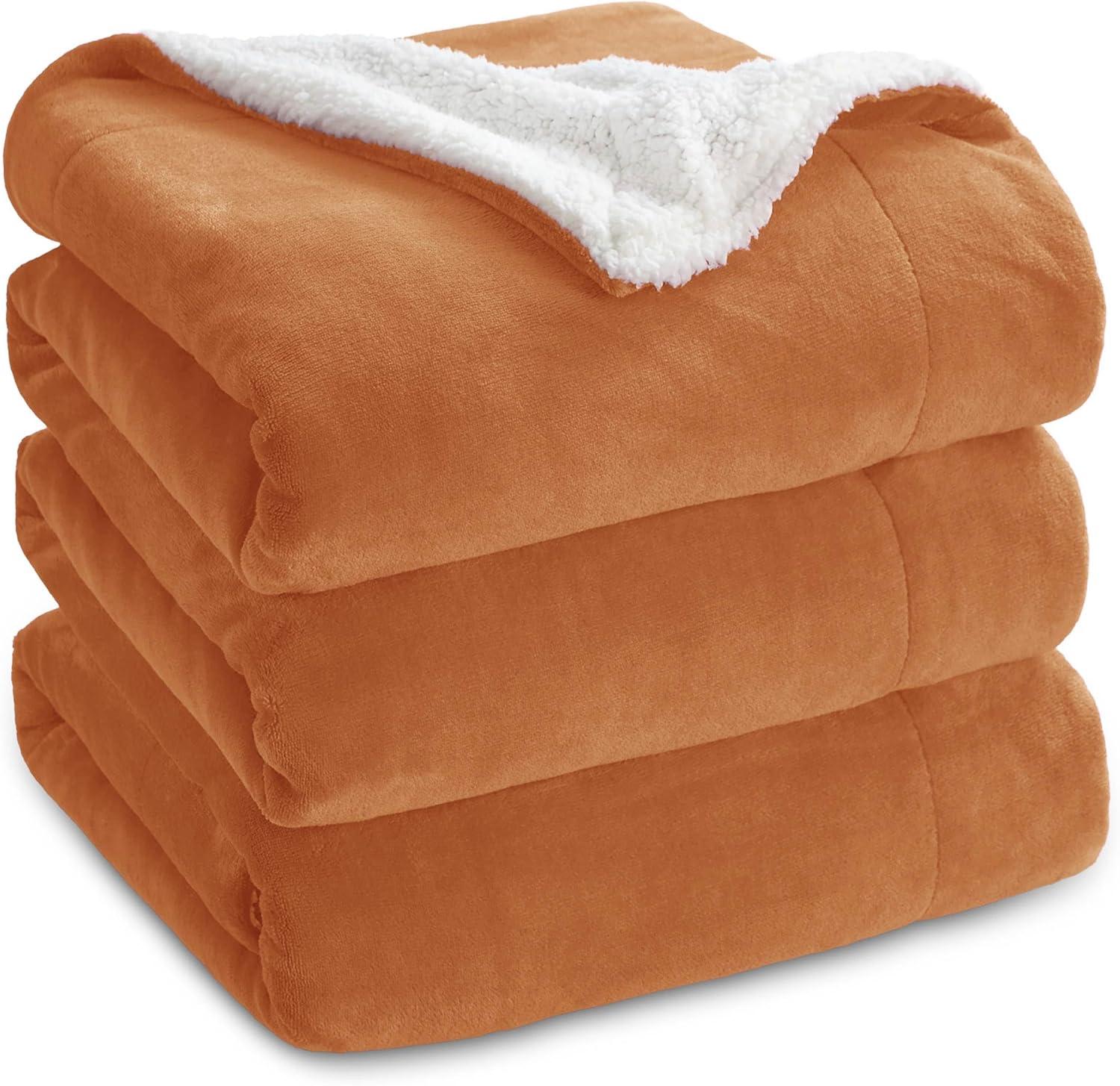 Bedsure Bedsure Sherpa Fleece Blankets For Bed - Thick And Warm Blanket For Winter, Soft Fuzzy Plush Blanket For All Seasons